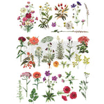 Load image into Gallery viewer, Floral Collection Redesign with Prima X Large Transfer featuring a selection of colourful blooms on long stems that can be applied individually or layered for a larger design
