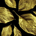 Load image into Gallery viewer, Leaves painted in Gold Guild Lane Super Guild Acrylic Enamel Waterbased metallic guilding paint, Gold leaf effect
