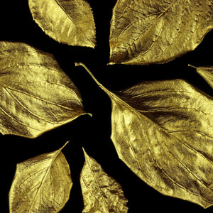 Leaves painted in Gold Guild Lane Super Guild Acrylic Enamel Waterbased metallic guilding paint, Gold leaf effect