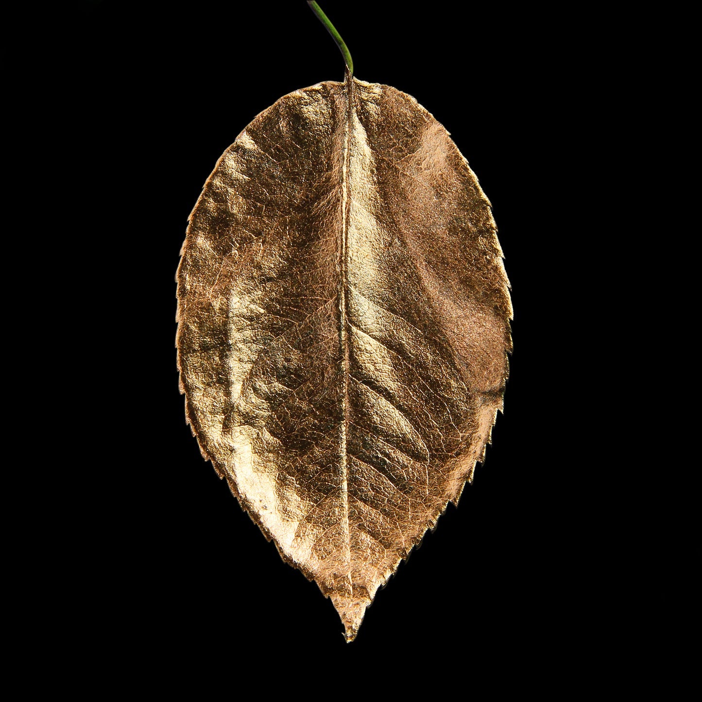 Leaf Painted in Original Acrylic Gilding Enamel by Guild Lane - Bronze