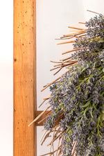 Load image into Gallery viewer, Homestead House Milk Paint Quebec Maple Wood Stain on rustic wooden ladder
