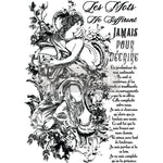 Load image into Gallery viewer, Youth Fountain Extra Large Redesign with Prima Transfer - black text and mythical roman lady
