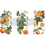 Load image into Gallery viewer, Citrus Slice Redesign with Prima Small Transfer - whole and sliced oranges amongst dark green leaves and delicate white orange blossom
