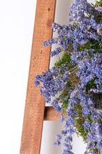 Load image into Gallery viewer, Homestead House Milk Paint Pacific Redwood Stain close up on rustic timber
