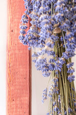 Load image into Gallery viewer, Homestead House Milk Paint Pacific Redwood Wood Stain on rustic wooden ladder
