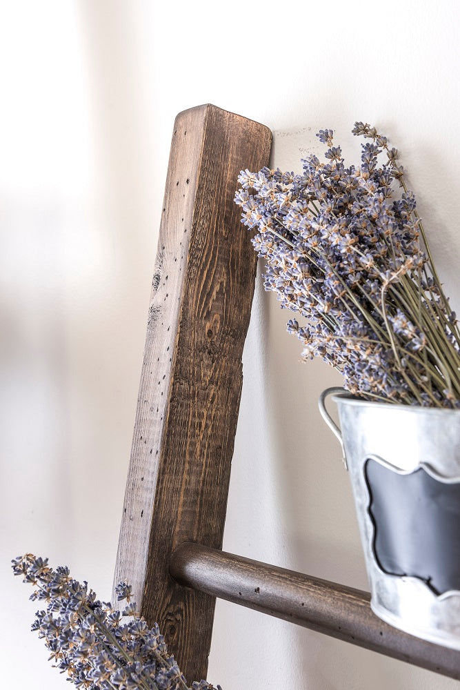 Homestead House Milk Paint Sherwood Brown Wood Stain on rustic wooden ladder