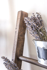 Load image into Gallery viewer, Homestead House Milk Paint Sherwood Brown Wood Stain on rustic wooden ladder
