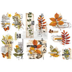 Load image into Gallery viewer, Foliage Collector Redesign with Prima Small Transfer - autumn leaves, seeds and flowers displayed in scrapbook style

