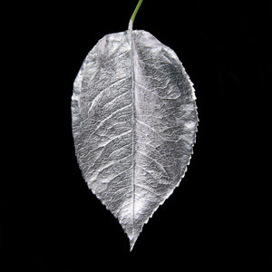 Leaf painted in Original Acrylic Gilding Enamel by Guild Lane - Silver