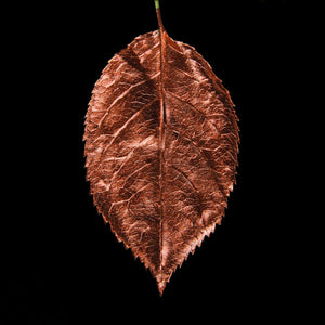 Leaf painted in Original Acrylic Gilding Enamel by Guild Lane - Copper