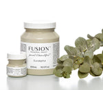 Load image into Gallery viewer, Fusion Mineral Paint Eucalyptus Shade
