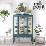 Load image into Gallery viewer, Fusion Milk Paint Terrarium Painted China Cabinet
