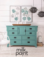 Load image into Gallery viewer, Fusion Milk Paint Velvet Palm Painted Sideboard
